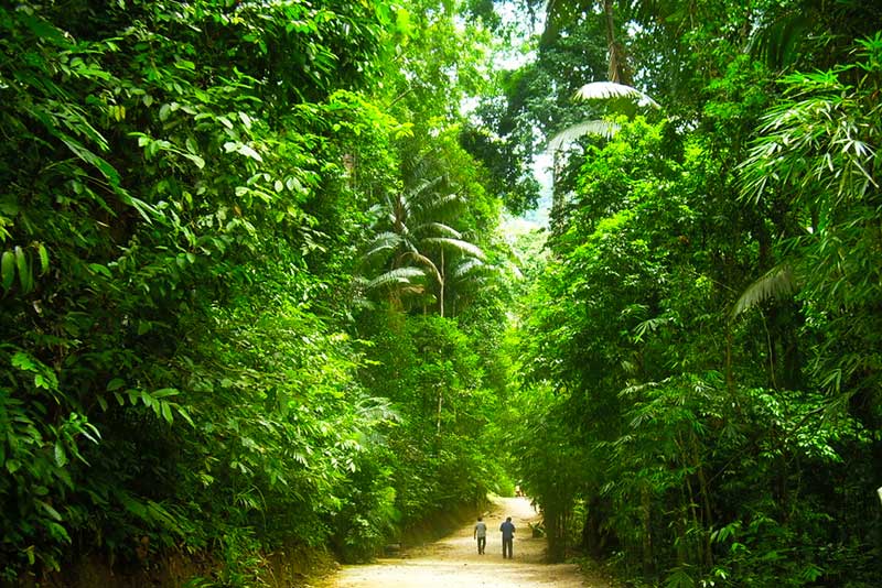 khao-phanom-bencha